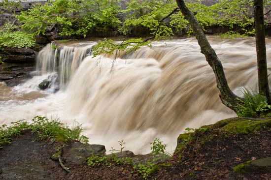 Dunoup Creek2