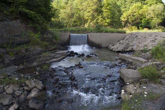 Fitzgerald Park Spillway