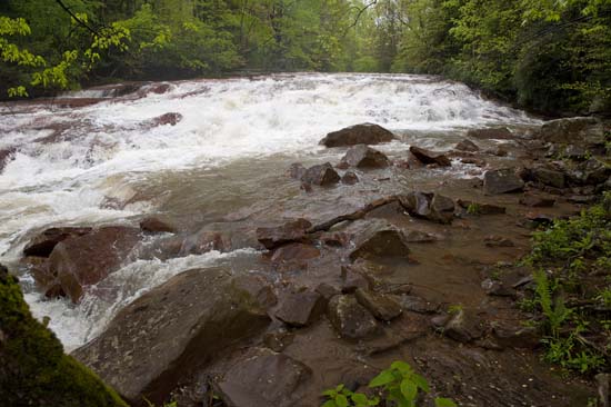 Muddy Creek