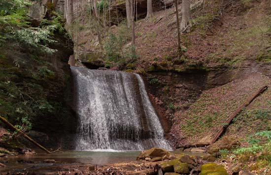 White Oak Creek1